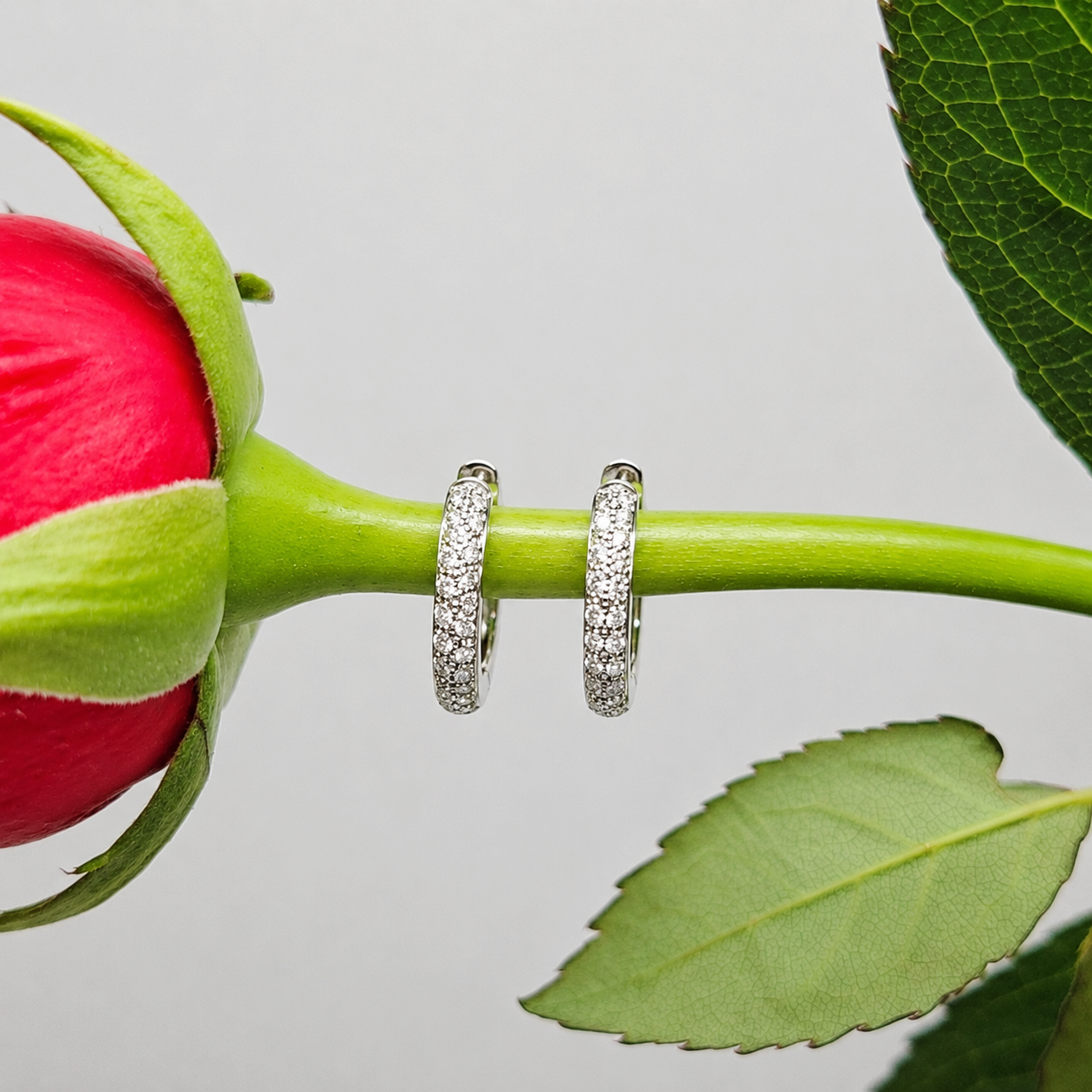 White Gold Pave set Huggie Hoop Earrings
